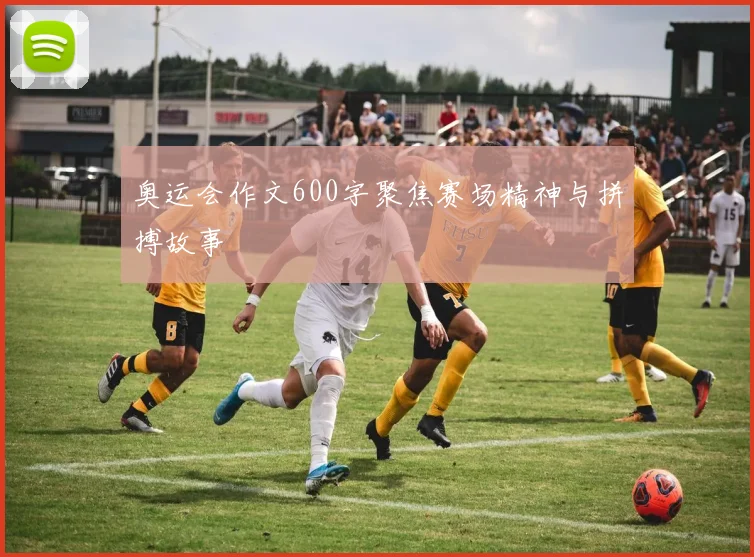 奥运会作文600字聚焦赛场精神与拼搏故事