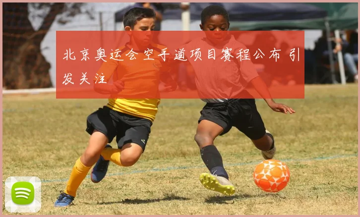 北京奥运会空手道项目赛程公布 引发关注